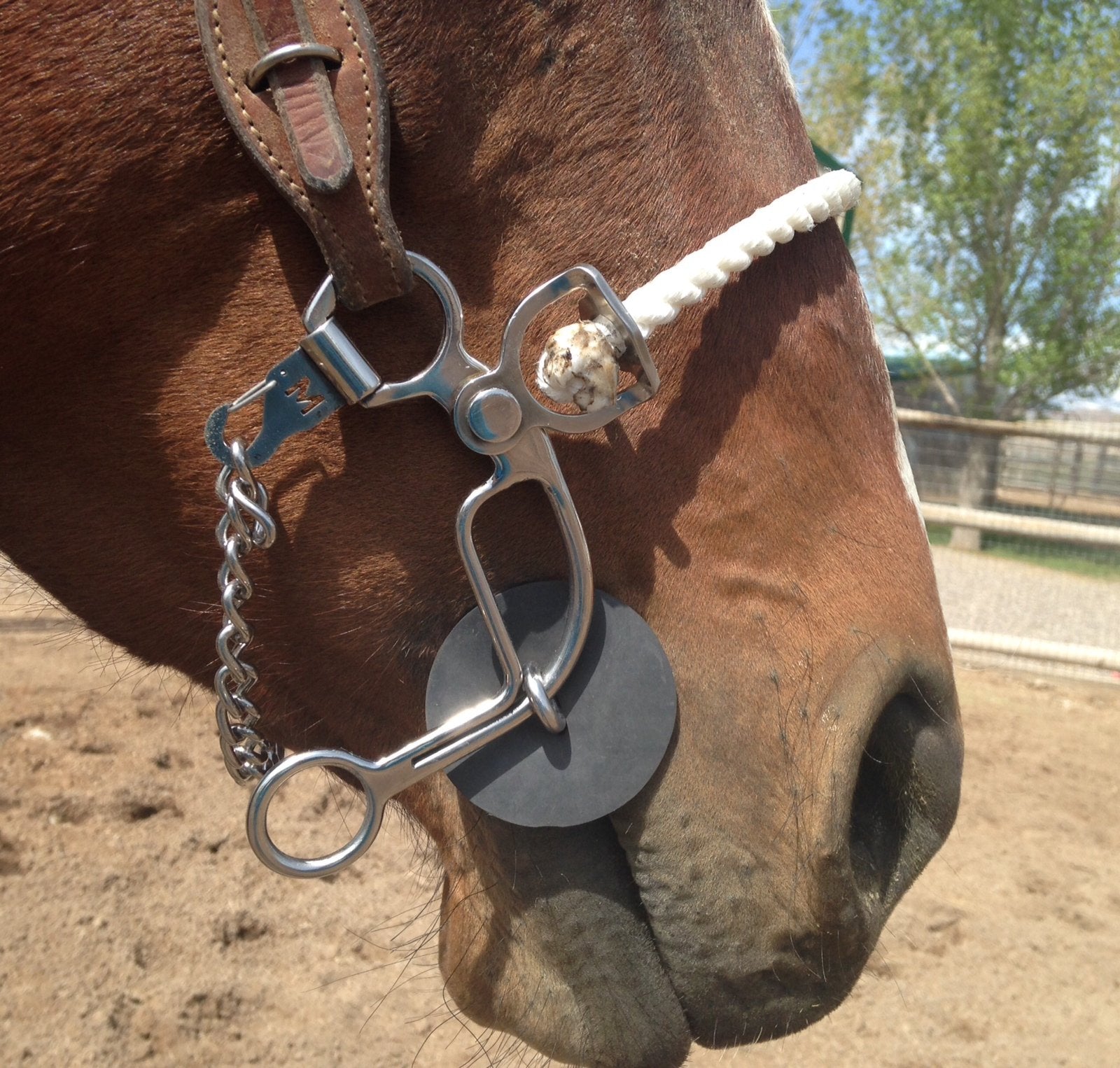 Merrill Barrel Racing Horse Bits – Merrill Bits