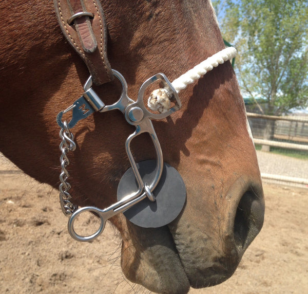 Merrill Barrel Racing Horse Bits – Merrill Bits